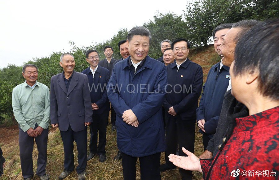 光山油茶籽榨油設(shè)備，山茶籽油榨油機(jī)廠家(圖2)