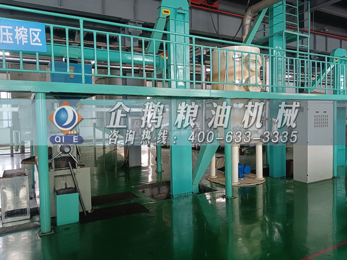 企鵝牌茶籽油雙螺桿榨油機，用心制造獲得客戶認(rèn)可(圖2)