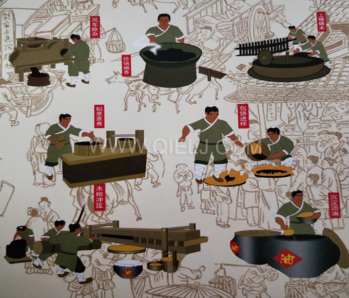 芝麻油提取加工，企鵝糧油機(jī)械生產(chǎn)色香味俱佳的油脂(圖2)